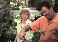 Infomercials complication. 50 no's and a yesh, means yesh.. So many white people things up