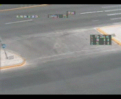 isded gif comp. .. Whoever did that to that cat deserves to be slaughtered.