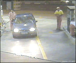 isded gif comp. .. Whoever did that to that cat deserves to be slaughtered.