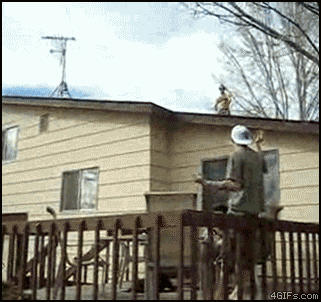 isded gif comp. .. Whoever did that to that cat deserves to be slaughtered.