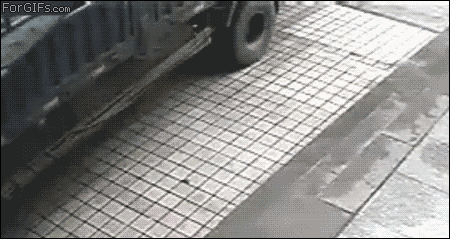 isded gif comp. .. Whoever did that to that cat deserves to be slaughtered.