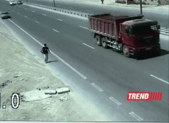 isded gif comp. .. Whoever did that to that cat deserves to be slaughtered.