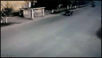 isded gif comp. .. Whoever did that to that cat deserves to be slaughtered.