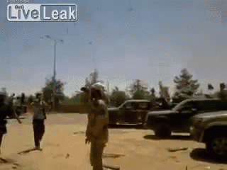 isded gif comp. .. Whoever did that to that cat deserves to be slaughtered.