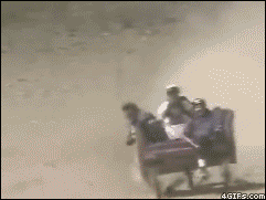 isded gif comp. .. Whoever did that to that cat deserves to be slaughtered.