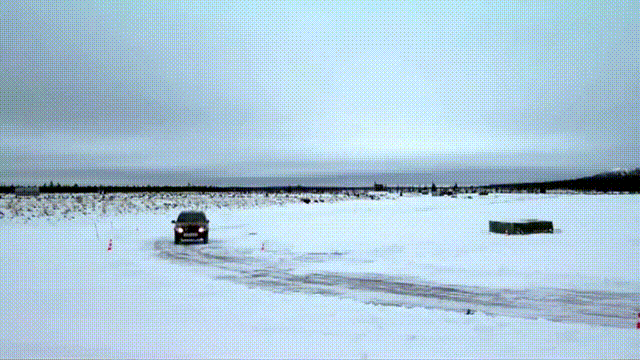 isded gif comp. .. Whoever did that to that cat deserves to be slaughtered.