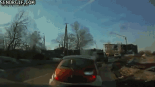 isded gif comp. .. Whoever did that to that cat deserves to be slaughtered.