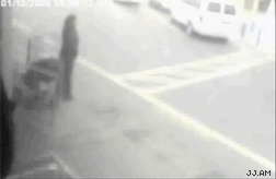 isded gif comp. .. Whoever did that to that cat deserves to be slaughtered.