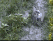 isded gif comp. .. Whoever did that to that cat deserves to be slaughtered.