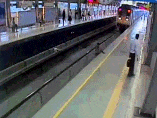 isded gif comp. .. Whoever did that to that cat deserves to be slaughtered.