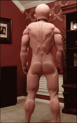 Mfw+a+date+for+the+evening_9d9678_5411888.gif