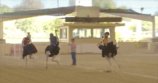 Mind melting wacky stuffthings comp. .... totally tubular. i need thems thumbs. starving. the epilepsy test. fap fap fap fap fap fap.. Wow thats quite the load of gifs some would say... an orgyf ? I'll dump a few weird ones that you didnt include