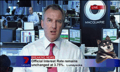 multivarious gif compilation #2. Marco the Explorer Cheetah vs Hippo slick trick one smile a day, as such.. uhmm 0 was givin tactical step ride a fire extinguis