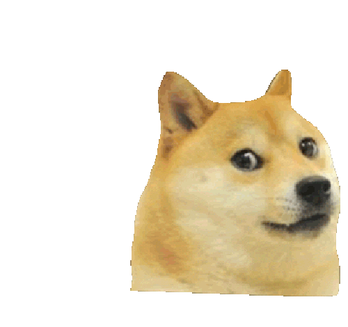 (untitled). Such detail no no stp wit da bn thmb much wat do.. doge coin