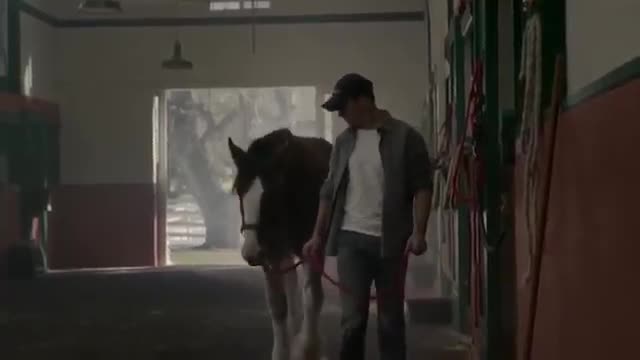 ****		 man, I haven't laughed this much on FJ in a long time. Keep it up.