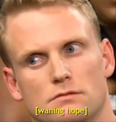 didnt the japanese make one of these allready?****