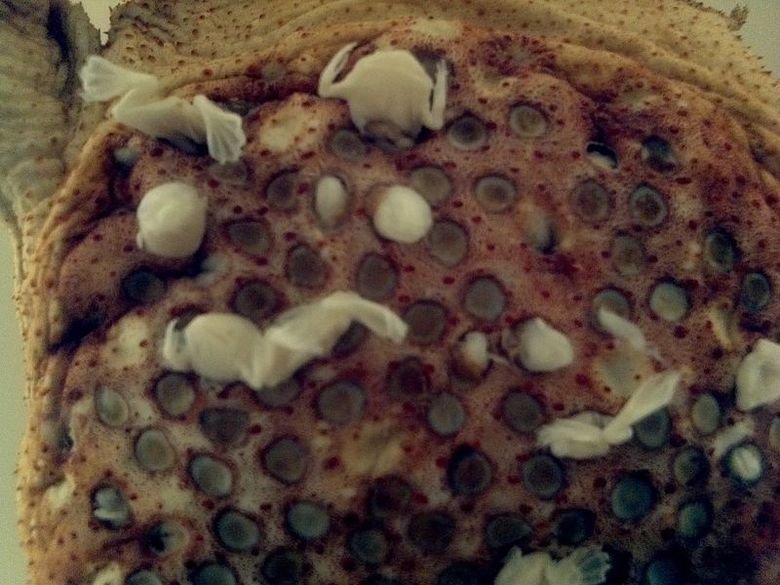 A little something for your fap folder. With all the hype about jlaw and other celebrities in the fappening, i felt as if should colaborate with a sample from m