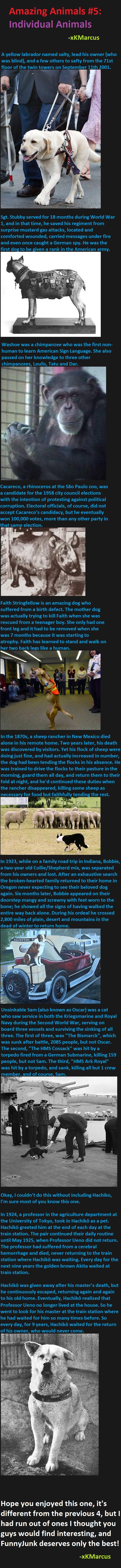 Animal Facts 5 Animal Facts 5. Animal Facts #6 - /funny_pictures/2246085/Animal+Facts+6/ . Animal Facts #4 - /funny_pictures/2240463/Animal+Facts+4/ . Animal Facts #3 - /funny
