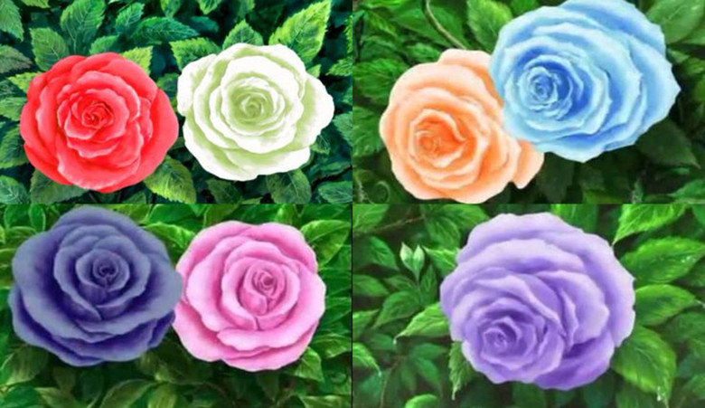 Anime Facts: Ouran HS Host Club Part 1. The Hitachiin twins, Hikaru and Kaoru, are supposed to be the same height but when the club members are gathered around 