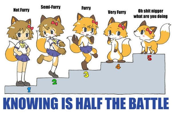 Are you a furry? Are you a furry?. roll to see what furry level you are<br /> If above 5 divide by 2<br /> /funny_pictures/1790835/Inception+in+Pokemon+form/. IS MII