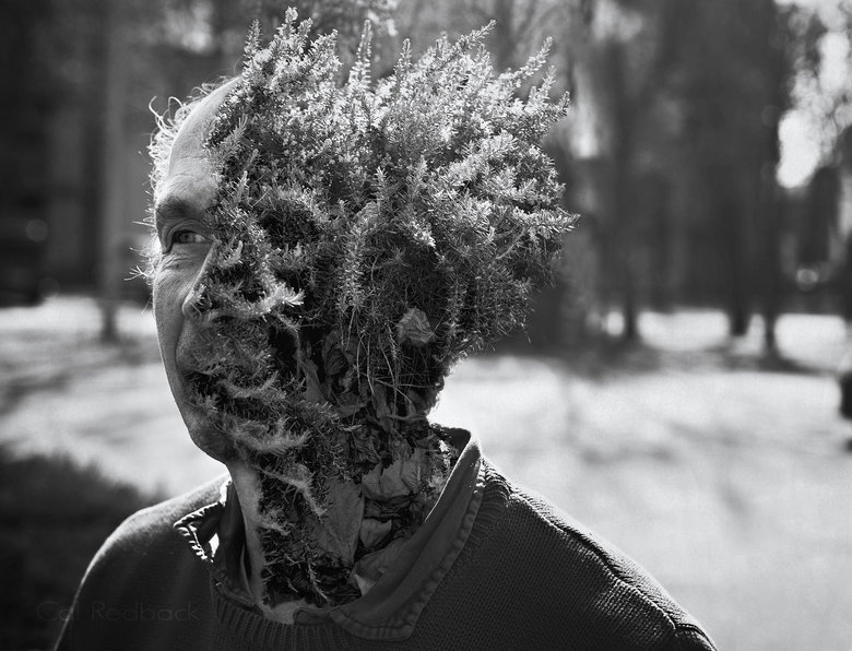 Ent mutation. Source: Cool artwork done by Cal Redback I stumbled upon.. this makes me uncomfortable