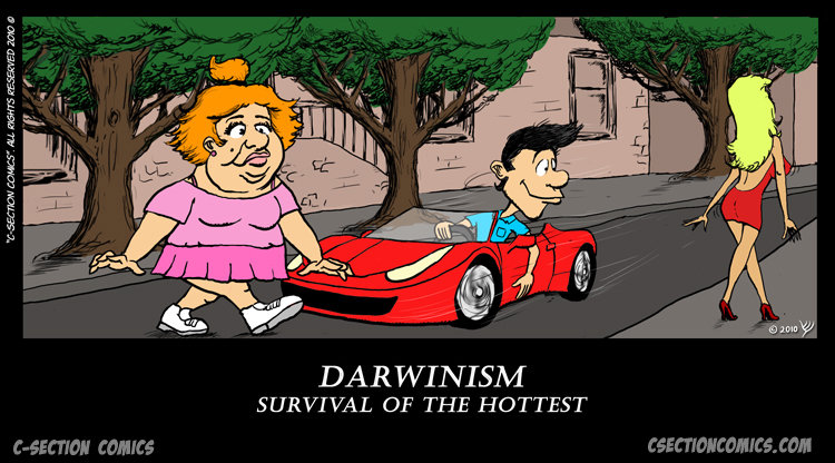 In the future, all women will be hot... In the future, all women will be hot.... ..and men will have necks that can make a full turn. More cartoons at . DAR WI NIHM SURVIVAL OF THE HOTTEST. That poor car.