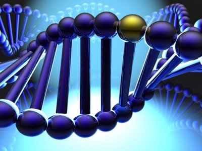 Is Gene Therapy Emerging From Technologi Is Gene Therapy Emerging From Technologi. The idea of gene therapy has been around since at least the early 1970s. In 1972, an article by Theodore Friedmann and
