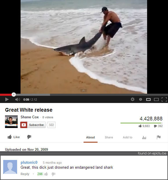 Man, this guy is a real dick Man, this guy is a real dick. This great white shark was caught on the beach. Luckily this guy saw it and dragged him back into the sea. But wait, what if he ac