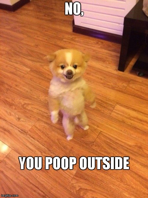 midnight gus meme. i dont know how to use the picture editor to post all 3 so i posted them seperately www.cc.com/episodes/iep8tf/-midnight-wednesday--may-14--2