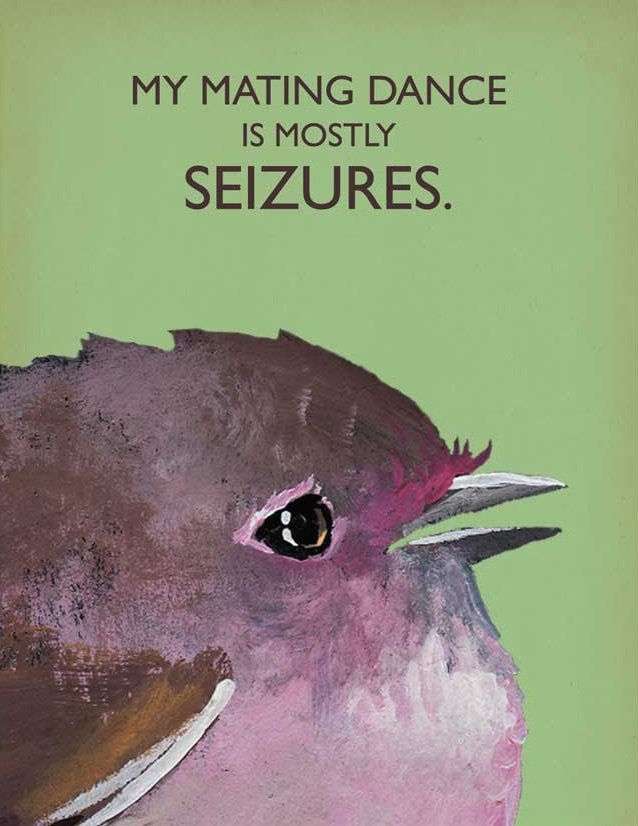 Mincing Mockingbird. . AS ALWAYS. ALL I SHOULD HAVE SAID was, l LOVE 'tayy