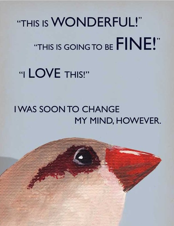 Mincing Mockingbird. . AS ALWAYS. ALL I SHOULD HAVE SAID was, l LOVE 'tayy