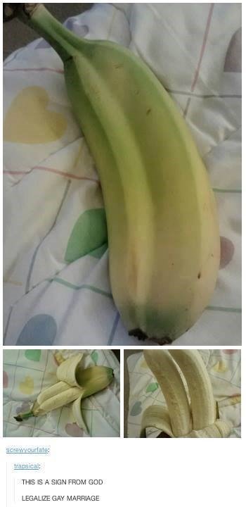 More Religion. . I assure garm sir, y nu have a moment for