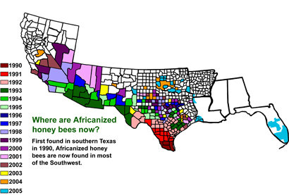 More American Wildlife: Invasive Species. I've always been a bit fascinated by the spread of invasive species, and when I started making a compilation of cool w