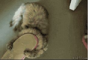 I+ll+be+downthumbed+to+hell+but+i+wanted+to+take+_20b29f029baf1bfb0858e7c5a2ed7810.gif