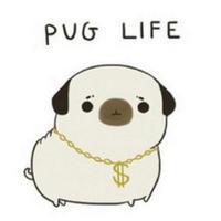 Make+me+oh+and+pugs+over+ponies+_07d2583