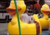 Quacky ride