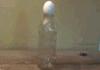 Egg In The Bottle