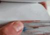 DBZ Flipbook