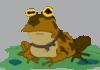ALL HAIL HYPNOTOAD