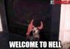 Hell Dog