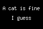 A cat is fine I guess