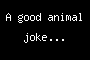 A good animal joke...