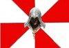 assassins creed comp pt1.
