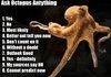 Ask The Octopus