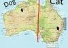 Australia looked like a cat and a dog
