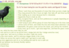 Anon starts the crow wars