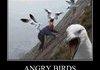 Angry Birds