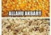 Allahu snack bar