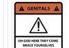 genitals