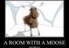 A Room With a Moose